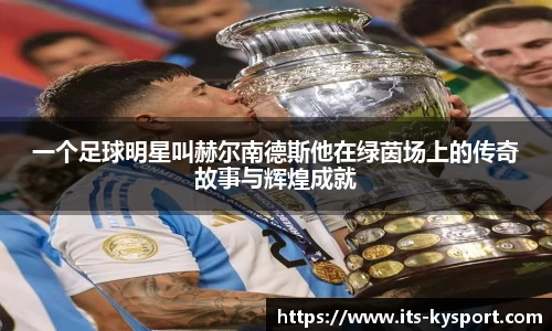 一个足球明星叫赫尔南德斯他在绿茵场上的传奇故事与辉煌成就